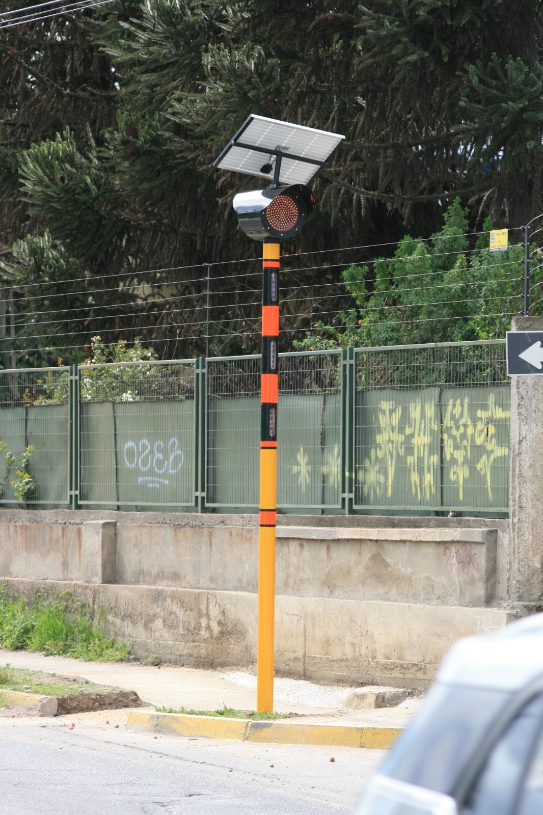 Zebra Safety